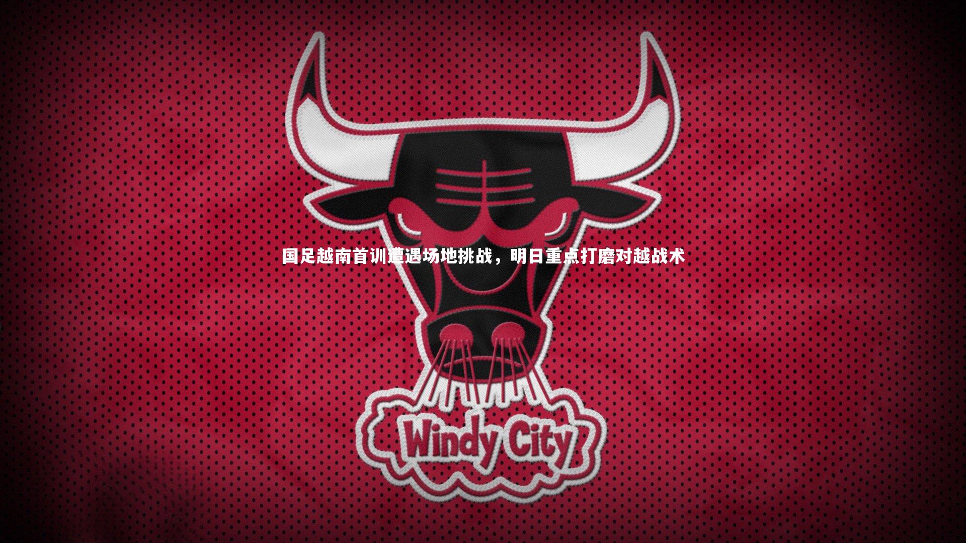 国足越南首训遭遇场地挑战，明日重点打磨对越战术